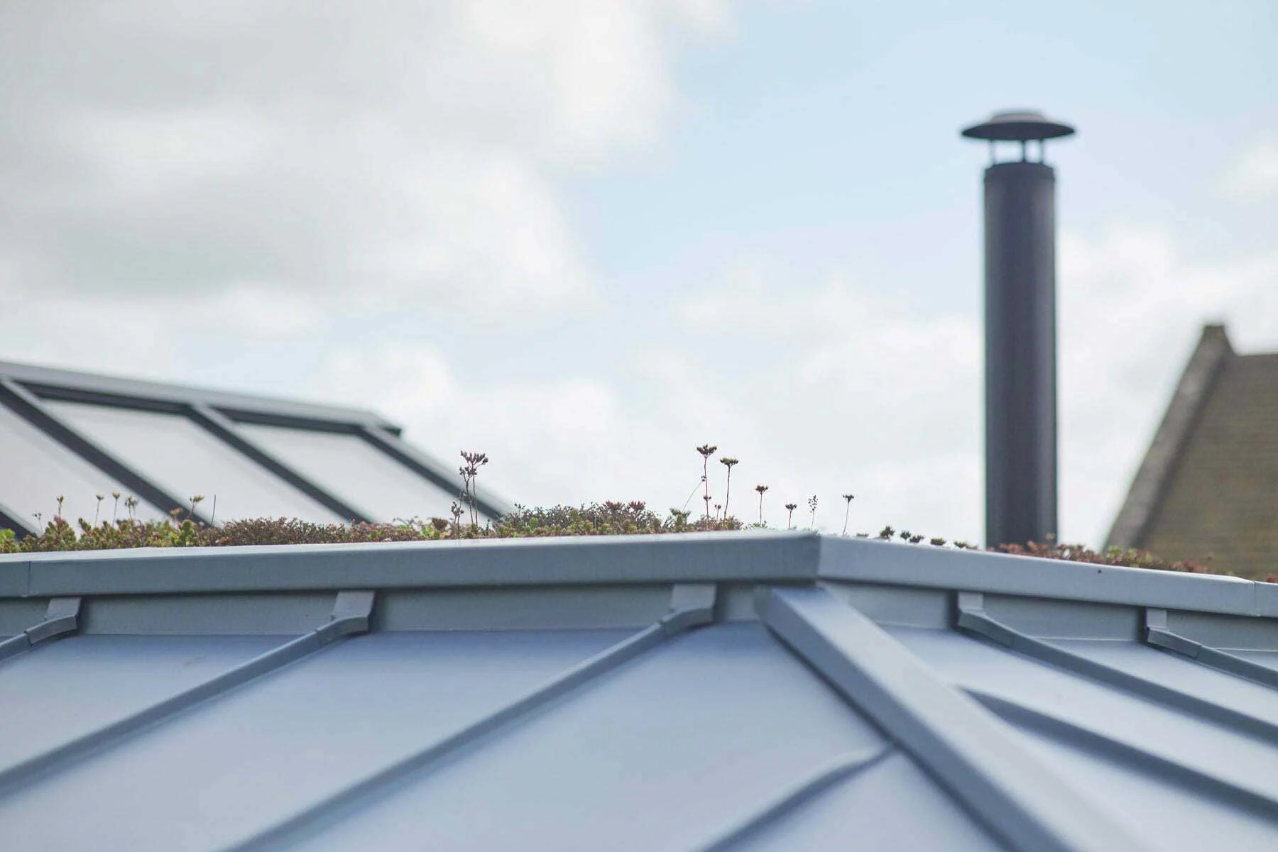 Wide view of the sedum garden roof, designed to limit the structure's visual impact.